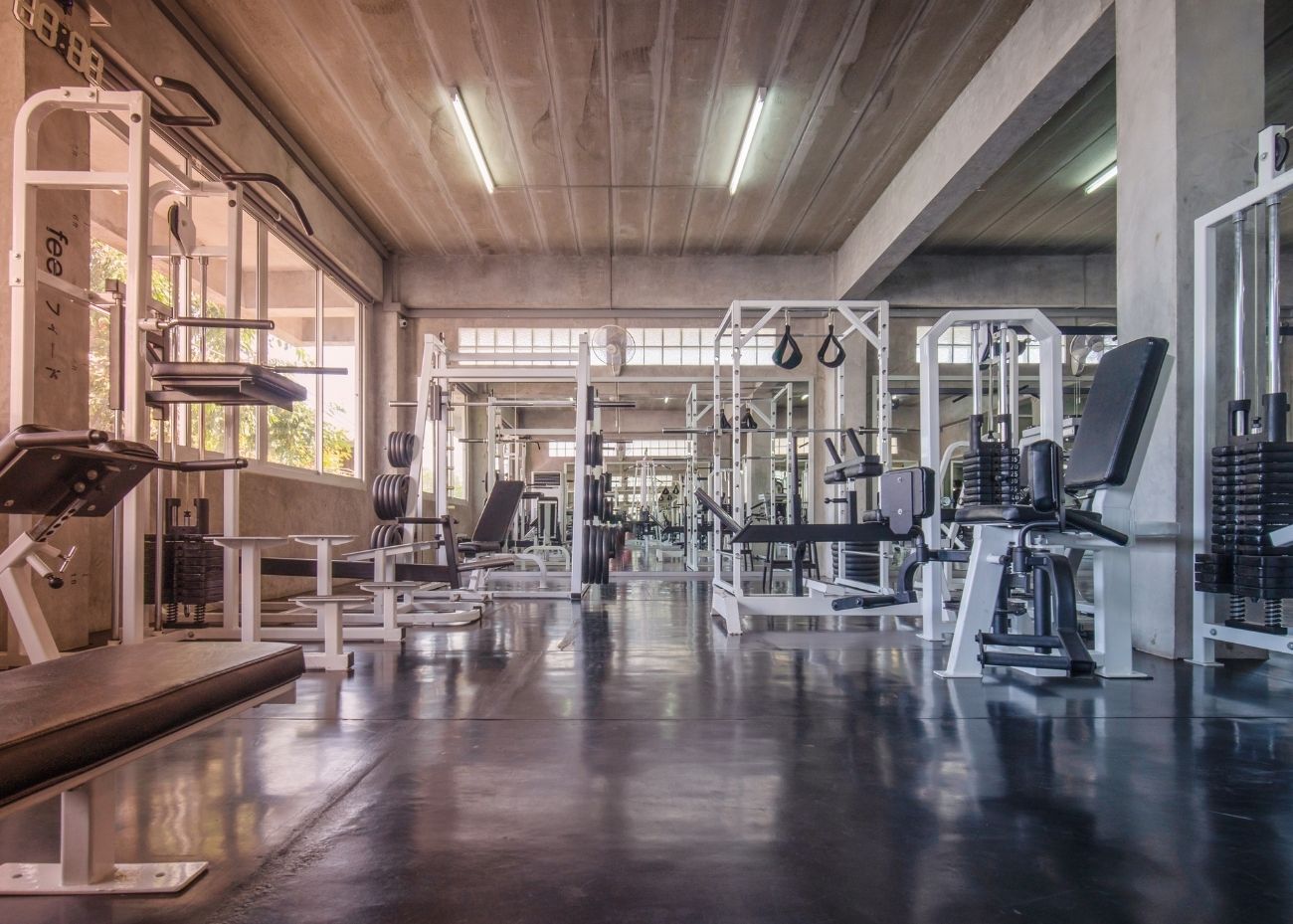 Interior da FitLife